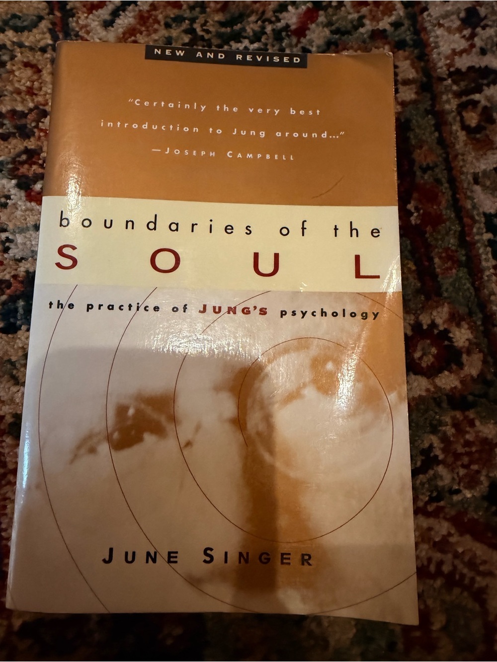 Boundaries of the Soul - Carl Jung